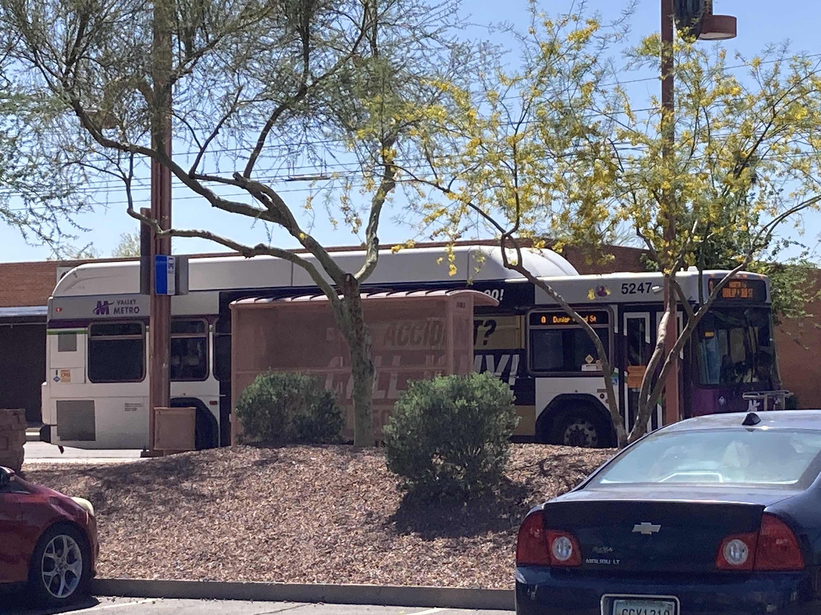 A white and gray Valley Metro bus, with purple and green accent colors, number 5247, traveling northbound on Central Avenue in Phoenix on route 0 to Dunlap and 3rd Street