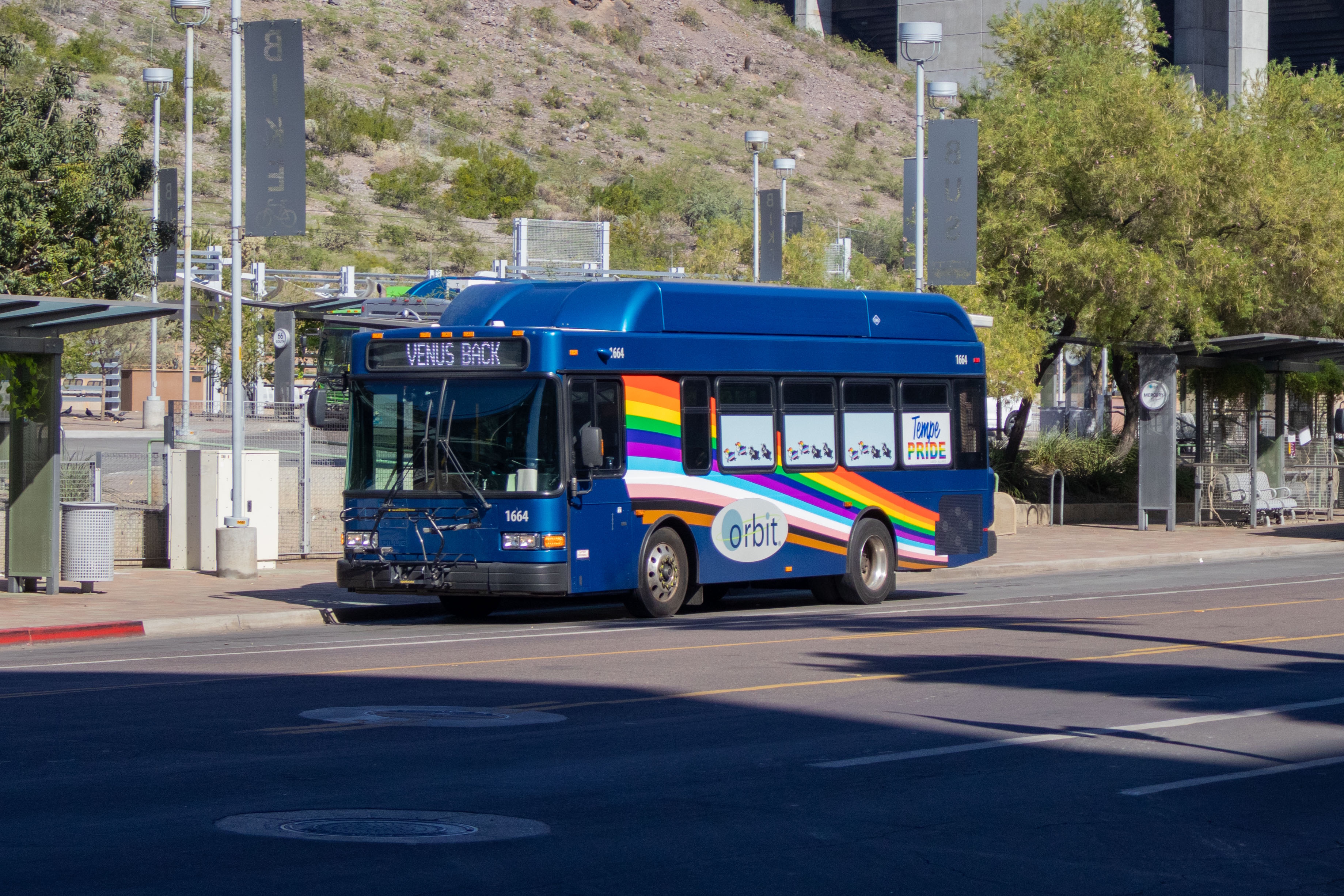 A blue Orbit bus, number 1664, at 5th Street and Forest Avenue on Venus Back