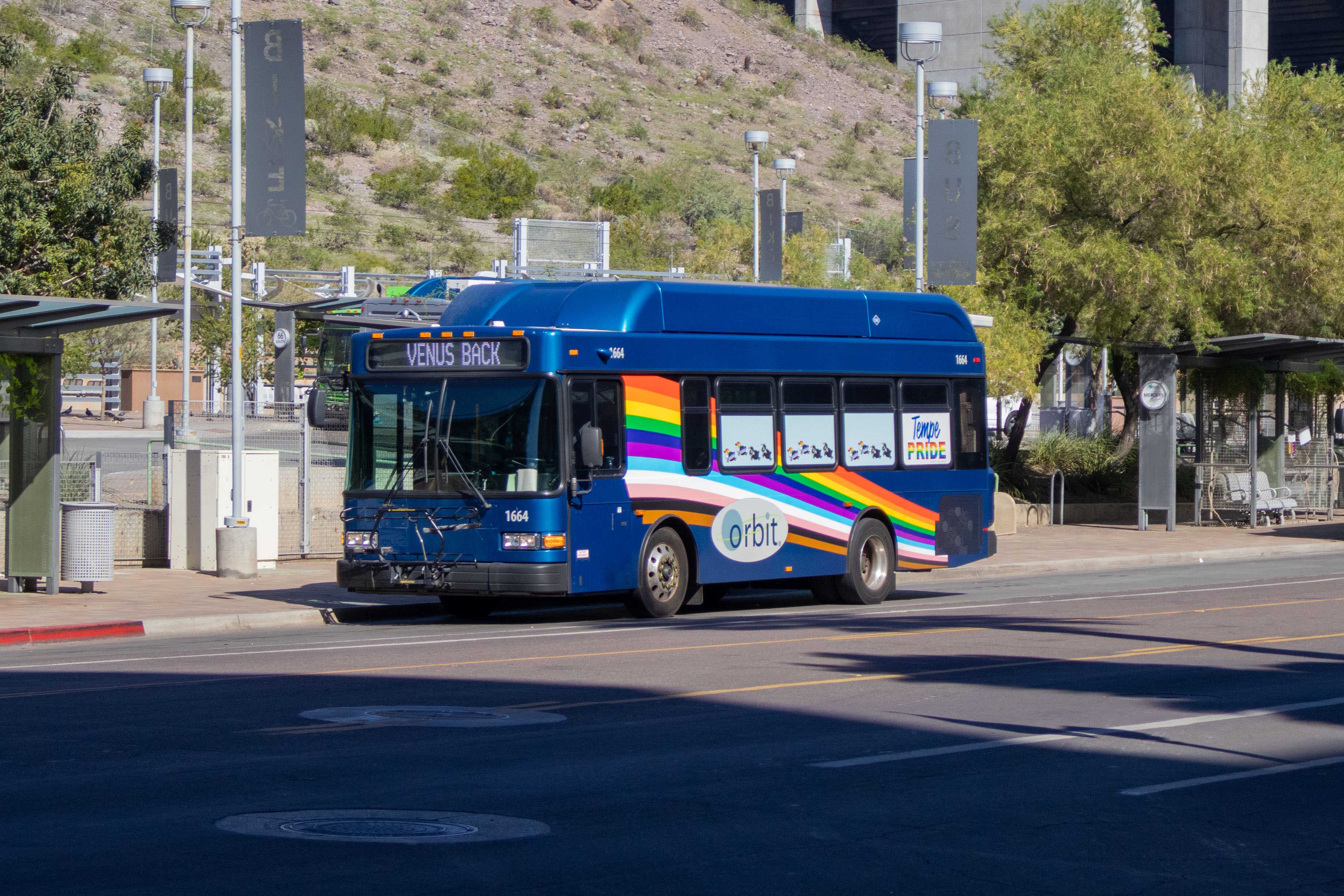 A blue Orbit bus, number 1664, at 5th Street and Forest Avenue on Venus Back