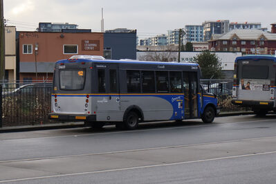 Bus 24619
1/8/2025 - Bus 24619 on route 412
Keywords: TransLink Route 412;Bus;Minibuses