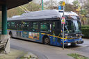 IMG_1376.jpg