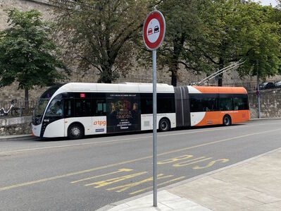 Bus 1619
7/12/2024 - Bus 1619 on route 3
Keywords: Geneva Public Transport Route 3;Trolleybus;Van Hool
