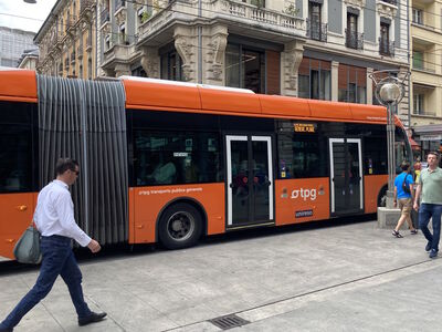 Bus
7/12/2024 - Bus on route 2
Keywords: Geneva Public Transport Route 2;Trolleybus;Van Hool