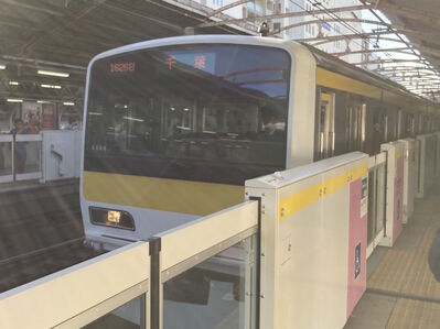 Train A509
6/12/2024 - Train A509 on the Chuo-Sobu line
Keywords: JR East Chuo-Sobu Line;Regional rail;JR East