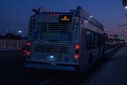 IMG_1515.jpg