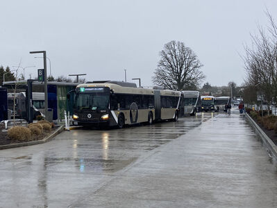 Bus 6013
1/2/2025 - Bus 6013 on The Vine - Green route
Keywords: C-TRAN The Vine - Green;Bus;BRT;New Flyer