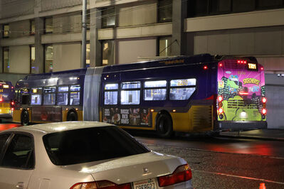 Bus 8250
1/4/2025 - Bus 8250 en route to Terminal
Keywords: King County Metro To Terminal;Bus;New Flyer