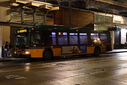 IMG_1293.jpg