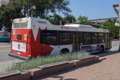 Bus 4738
8/4/2026 - Bus 4738
Keywords: OC Transpo;Bus;Nova Bus