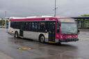 IMG_4373_1.jpg