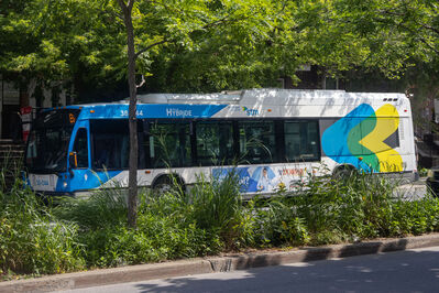 Bus 38-044
7/30/2026 - Bus 38-044 on route 97
Keywords: Société de transport de Montréal Route 97;Bus;Nova Bus