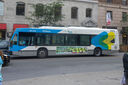 IMG_3859_1.jpg