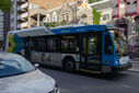 IMG_4100_1.jpg