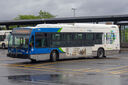 IMG_4369_1.jpg