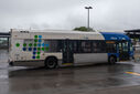 IMG_4370_1.jpg