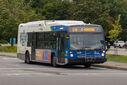 IMG_4382_1.jpg