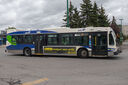 IMG_4383_1.jpg