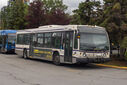 IMG_4387_1.jpg