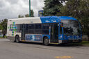 IMG_4389_1.jpg
