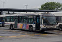 IMG_4392_1.jpg
