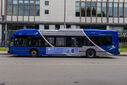 IMG_4226_1.jpg
