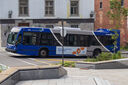 IMG_4232_1.jpg