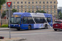 IMG_4366_1.jpg