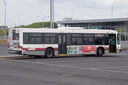 IMG_3783_1.jpg