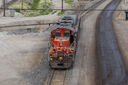 IMG_3546_1.jpg