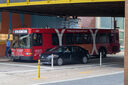 IMG_5606_1.jpg
