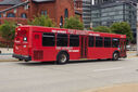 IMG_5665_1.jpg