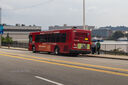 IMG_5846_1.jpg