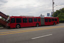IMG_5849_1.jpg