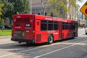 IMG_5934_1.jpg