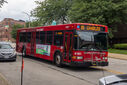 IMG_5974_1.jpg