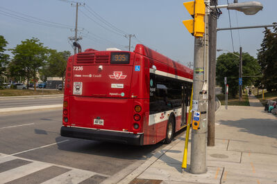 Bus 7236
7/27/2026 - Bus 7236 on route 935
Keywords: Toronto Transit Commission Route 935;Bus;New Flyer