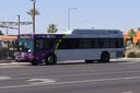 IMG_1880.jpg
