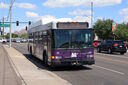 IMG_2053.jpg