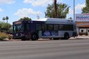 IMG_2059.jpg
