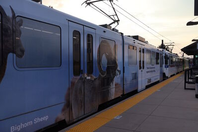 Trains 245 & 336
8/10/2025 - Trains 245 & 336 on the E Line
Keywords: Denver RTD E Line;Light Rail;Siemens