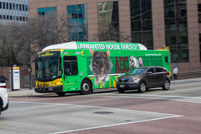 Bus 41088
1/6/2026 - Bus 41088 on route 3
Keywords: DART Route 3;Bus;NABI