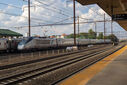 IMG_4544_1.jpg